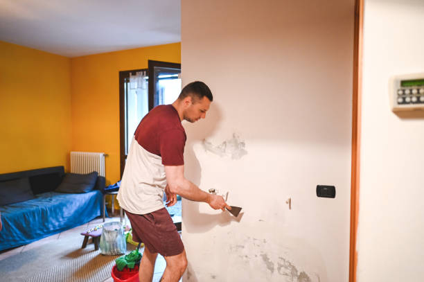 Best Home Mold Removal  in St Paul, MO