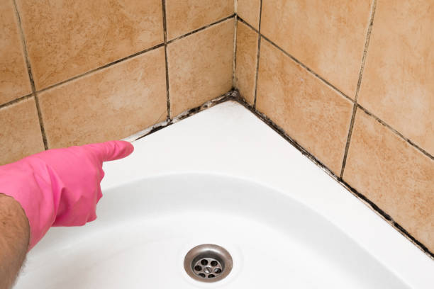 Water Damage Restoration in St Paul, MO